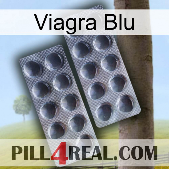 Viagra Blu 31.jpg